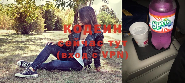 дмт Елабуга