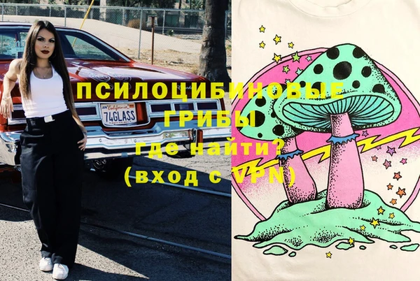 альфа пвп Заводоуковск