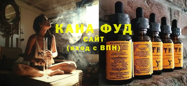 дмт Елабуга