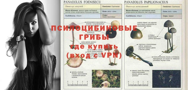 альфа пвп Заводоуковск