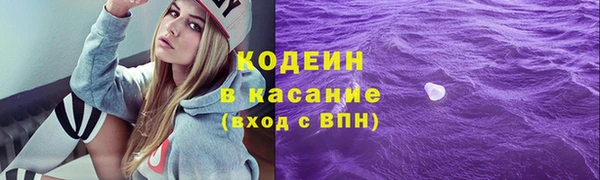 дмт Елабуга